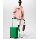 Чемодан Louis Vuitton Horizon 55 Taigarama Green