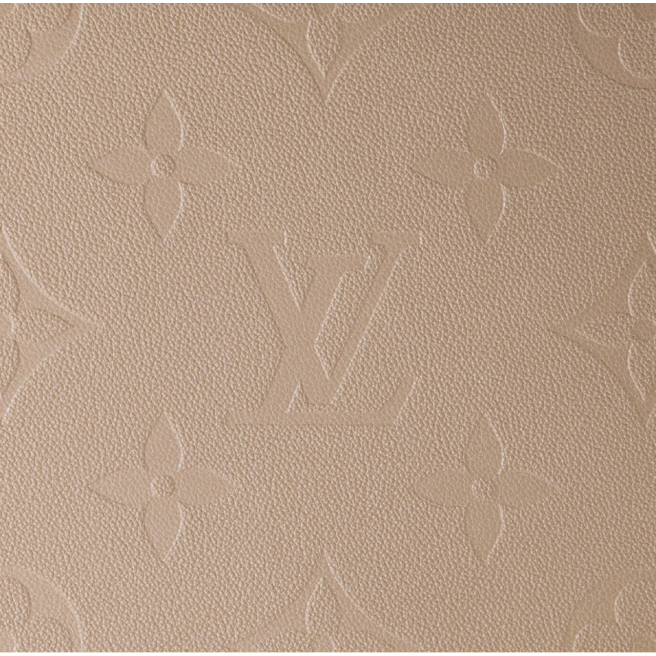 Чемодан Louis Vuitton Horizon 55 канва Monogram Tourterelle 