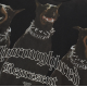 Футболка Represent Thoroughbred Doberman Vintage Black M05147-03