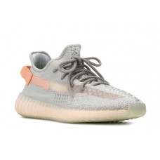 Adidas Yeezy Boost 350 V2 True Form